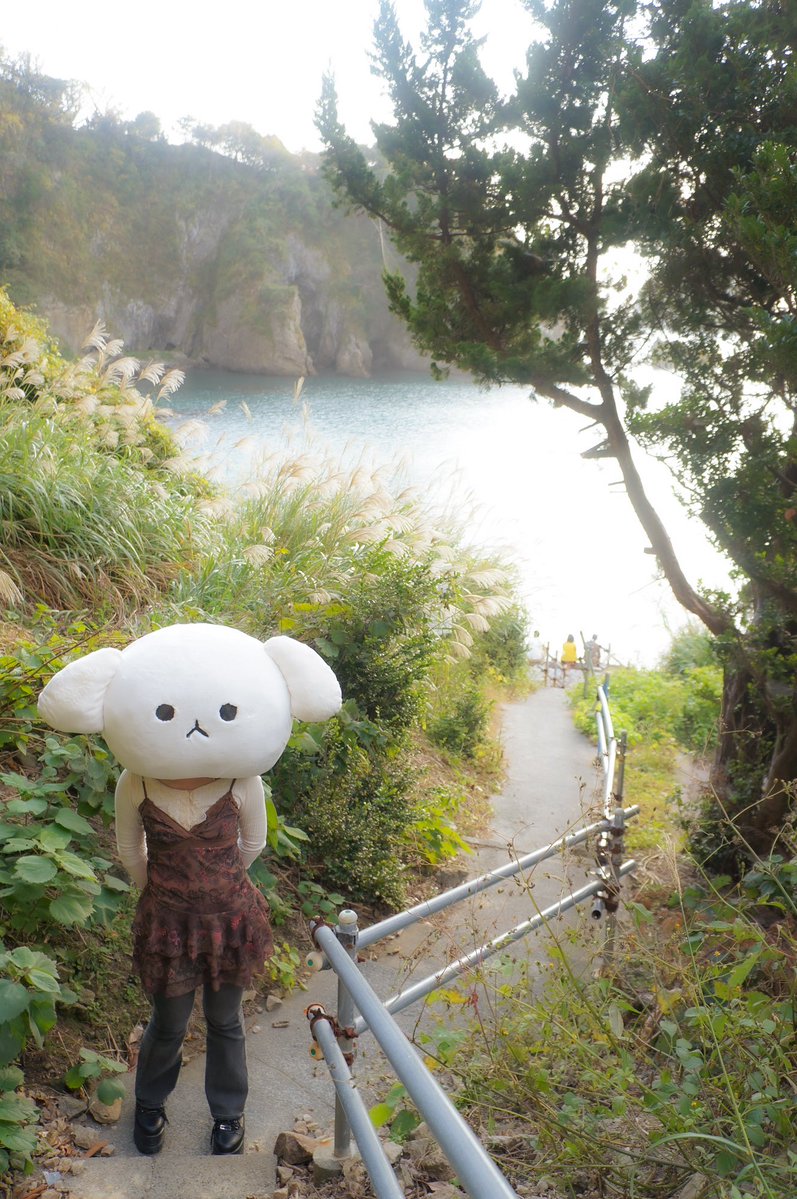 ツムギ (@aoki_mofu) on Twitter photo 