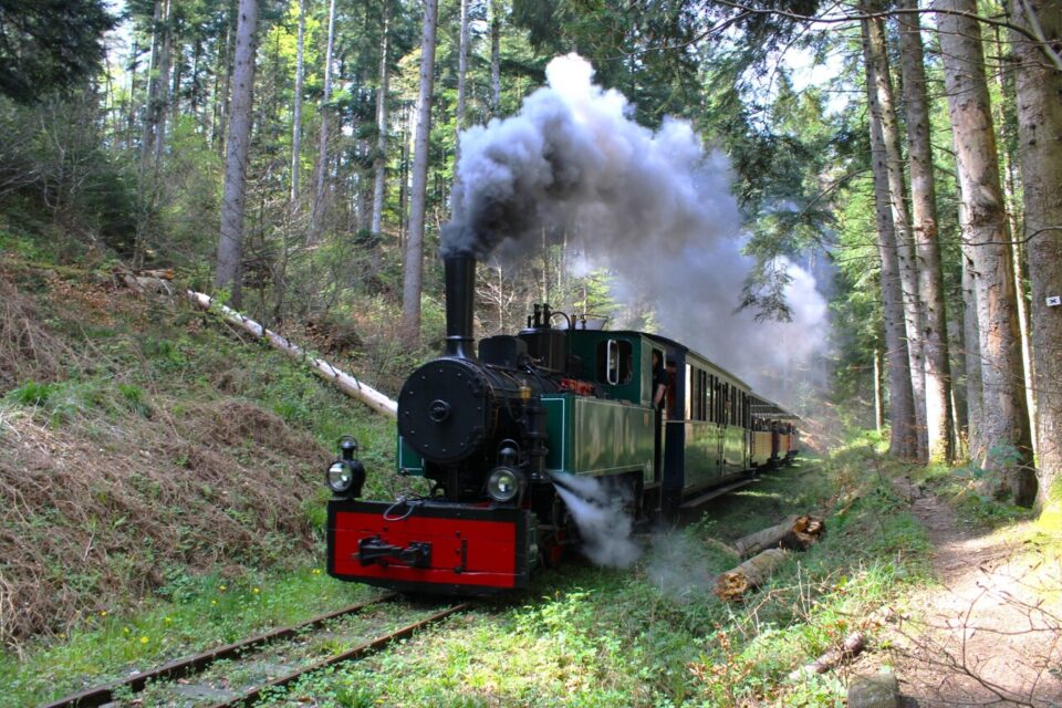 Patrimoine et voyages : voici cinq régions à visiter en trains d'autrefois actu.fr/histoire-patri…
