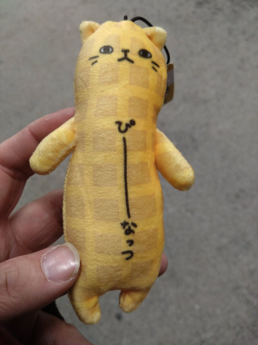 のびねこ 111匹 楽天市場】【SALE／50%OFF】【11ぴきのねこ】コラボ 2025年ダイアリー