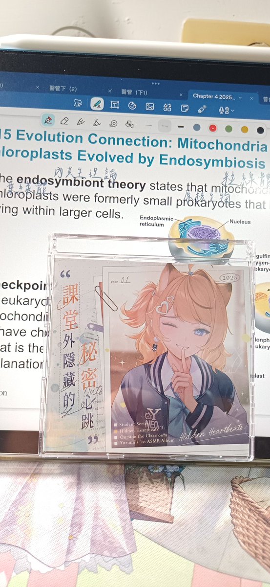 草履蟲🍃🍊🦠 tweet media