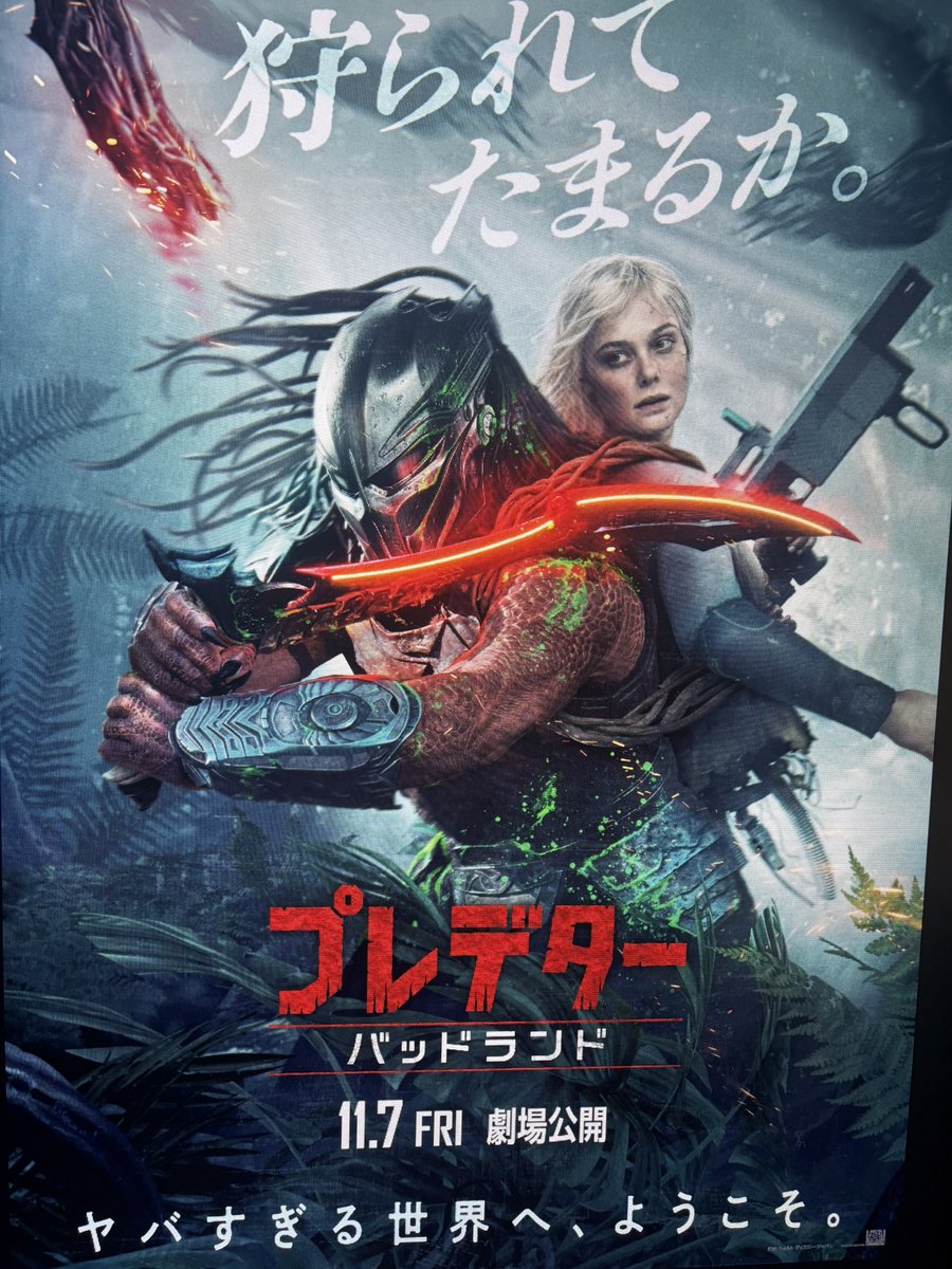 ア*ン様 プレデター (Predator) CRM LE CAT-1 バットのみ Predator