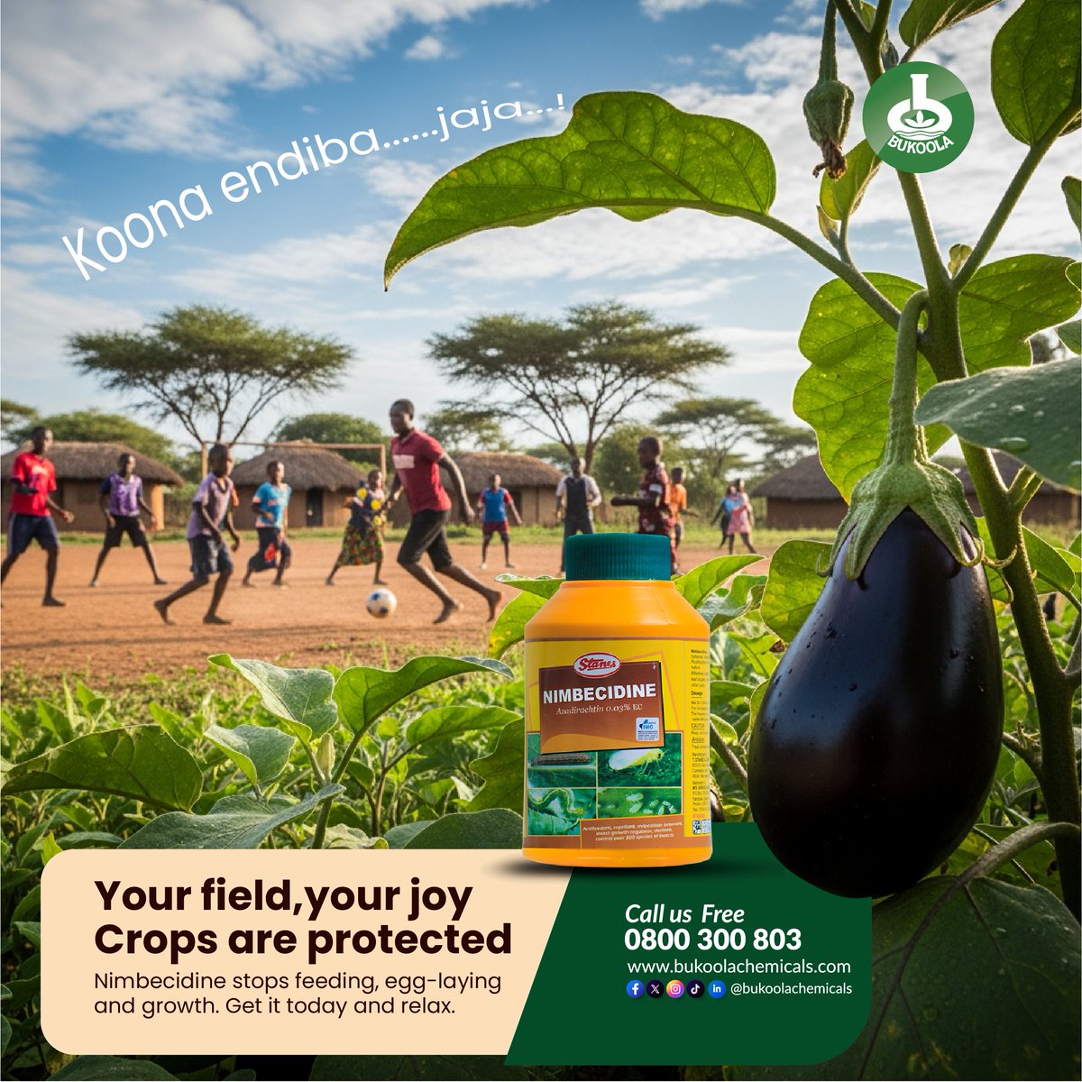 BukoolaChemical's tweet image. Experience the freedom of naturally protected crops. Nimbecidine ensures your crops are healthy and free from pests while you live your life. Get Nimbecidine from the nearest agroinputs shop today.
#BukoolaChemicals #Nimbecidine #PestProtection #OrganicPestControl