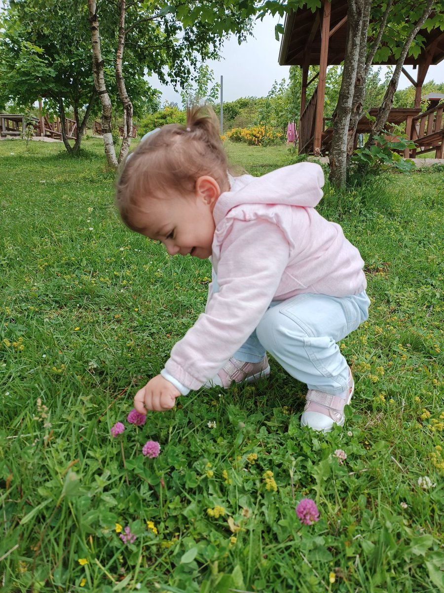 demetoos's tweet photo. #Perşembeyaylasıhalkındır çocuklarımızındır. Geleceğimizdir. https://t.co/zXAiBibaGi