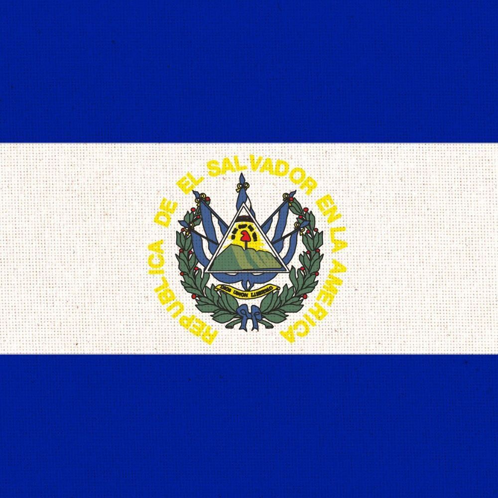 Crypto Jessica tweet media