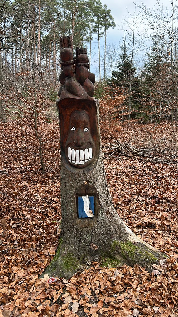 Käptn Iglo, der Fischstäbchenbeauftragte (@iglokaptn) on Twitter photo 