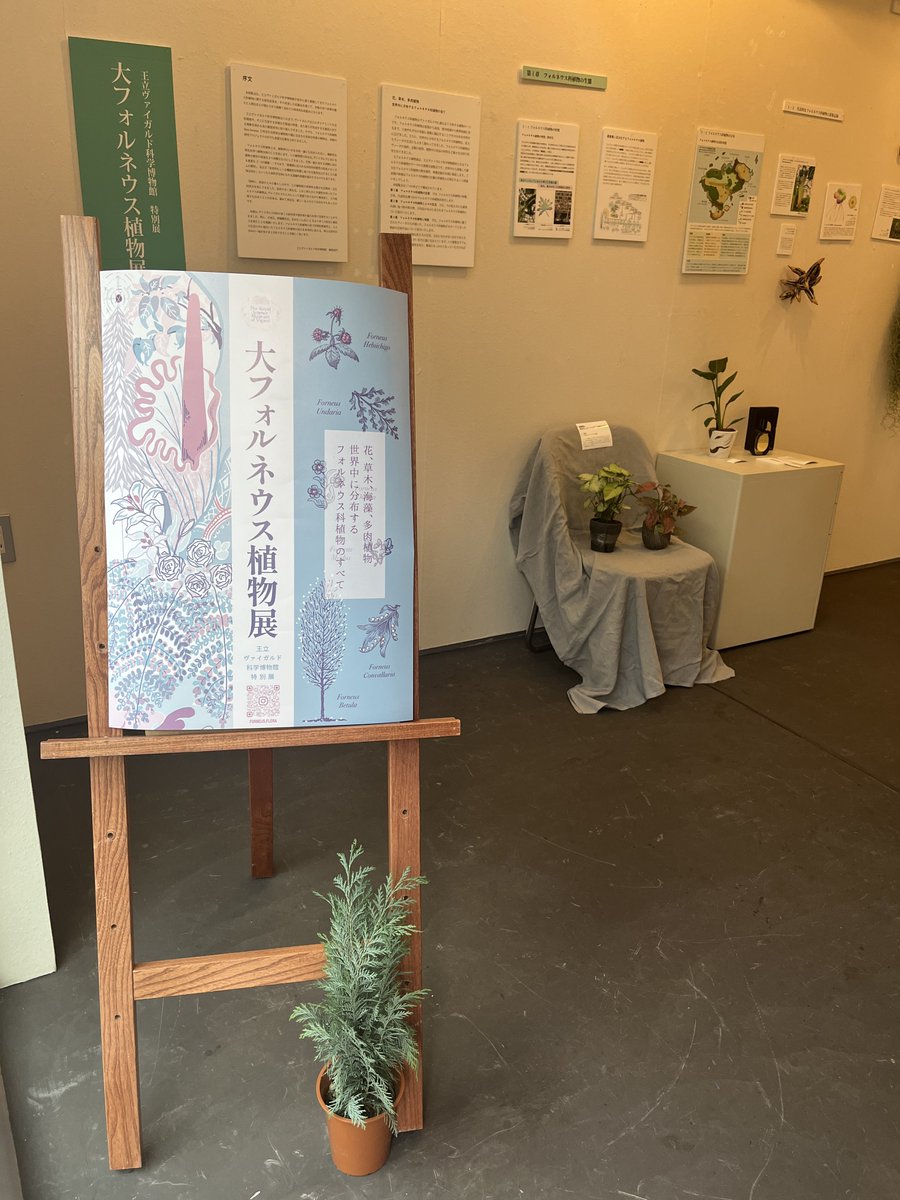 のじ～(˵❛ᵕ❛˵)っ(U)11/16東7F43a (@nojima12) / Posts / X