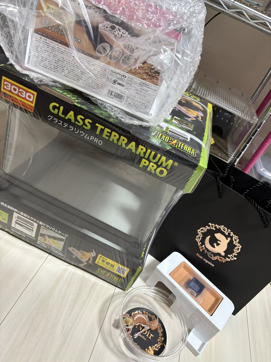 リアンページ 刺繍クルーネックカットソー|レリアン | レリアン公式