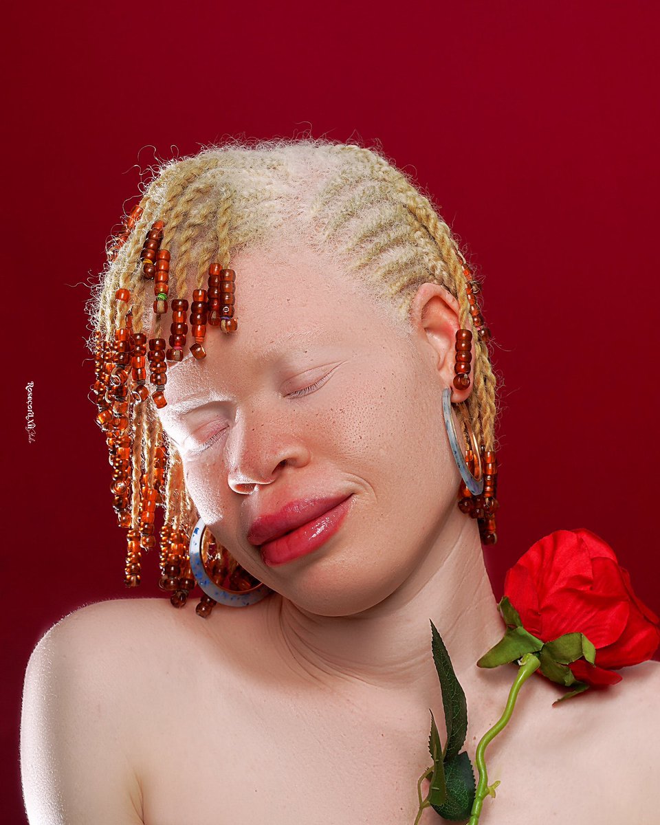 Rosecord XII🧠🌸📸 tweet media