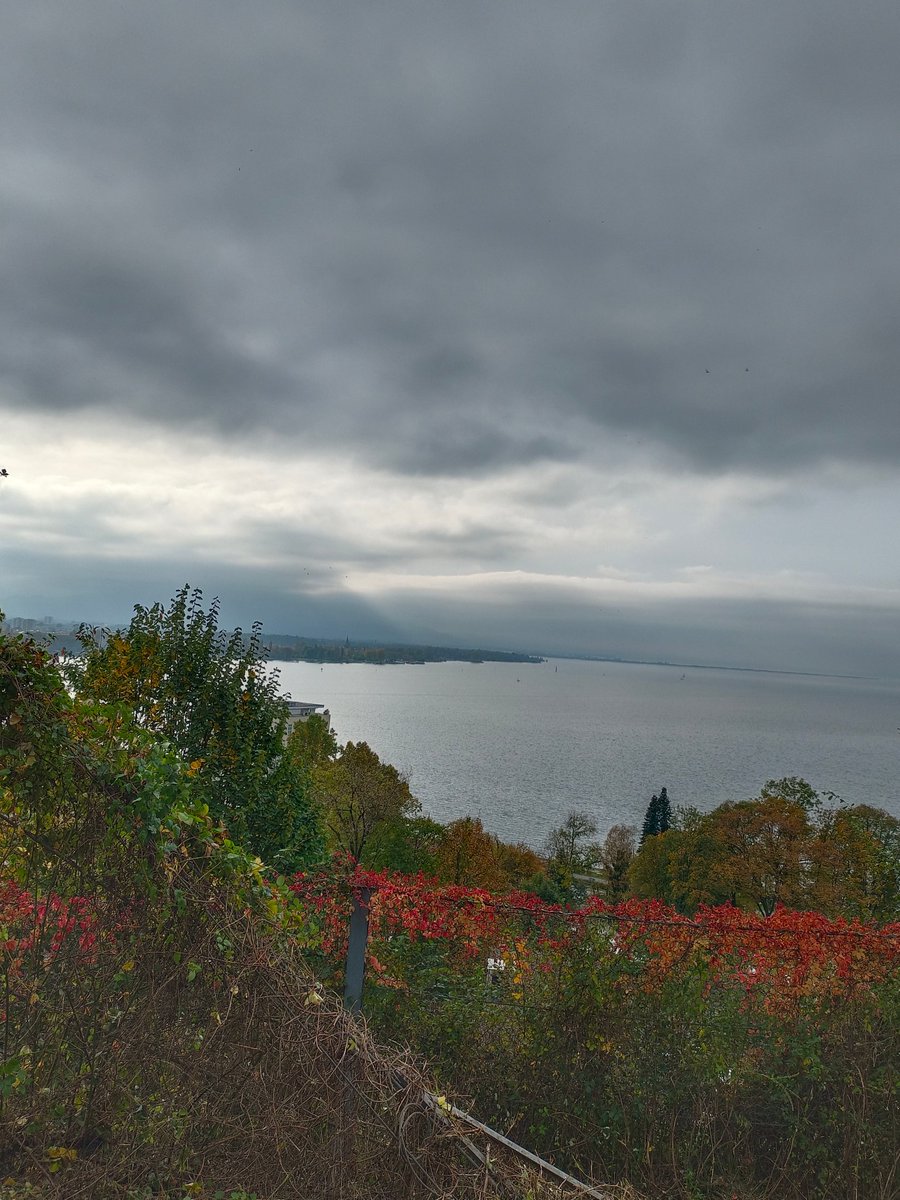 Guten Morgen aus dem Ländle ☕🍁
Schönen Sonntag euch
#Morgengruß