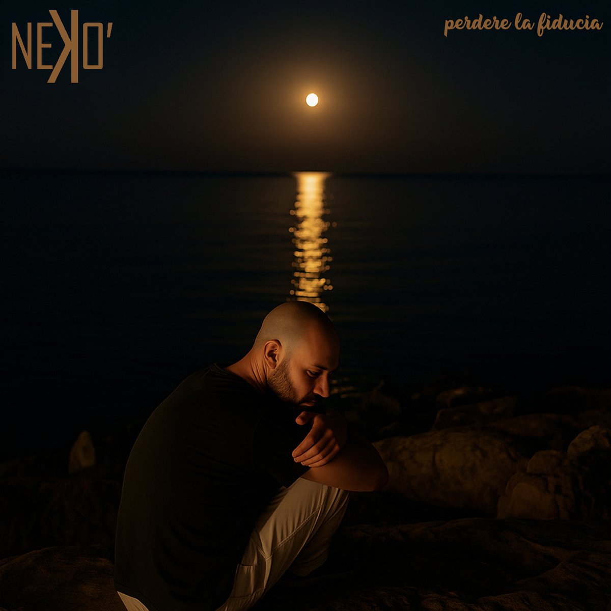 StationQuantum's tweet image. #newentry
Nekò - Perdere La Fiducia
#onair #indie #promotion