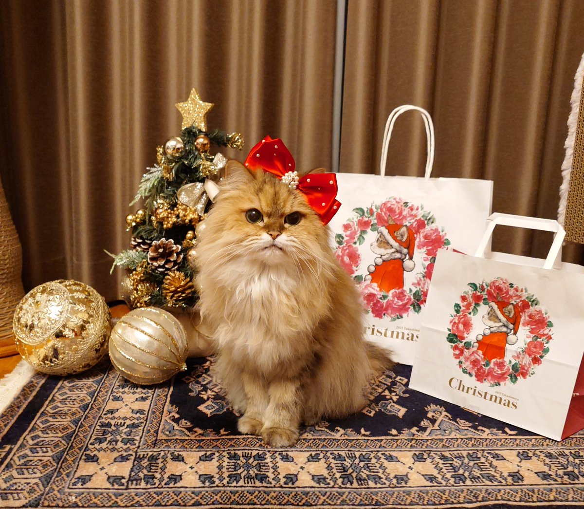 高島屋さんのクリスマス企画🎄 ヒグチユウコさんの紙袋もらえましたー