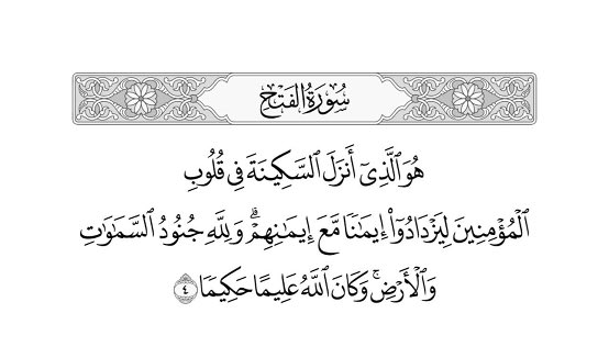 السيد . tweet media