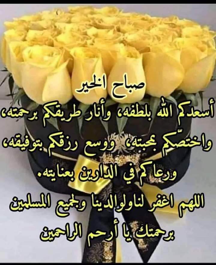 السيد . tweet media