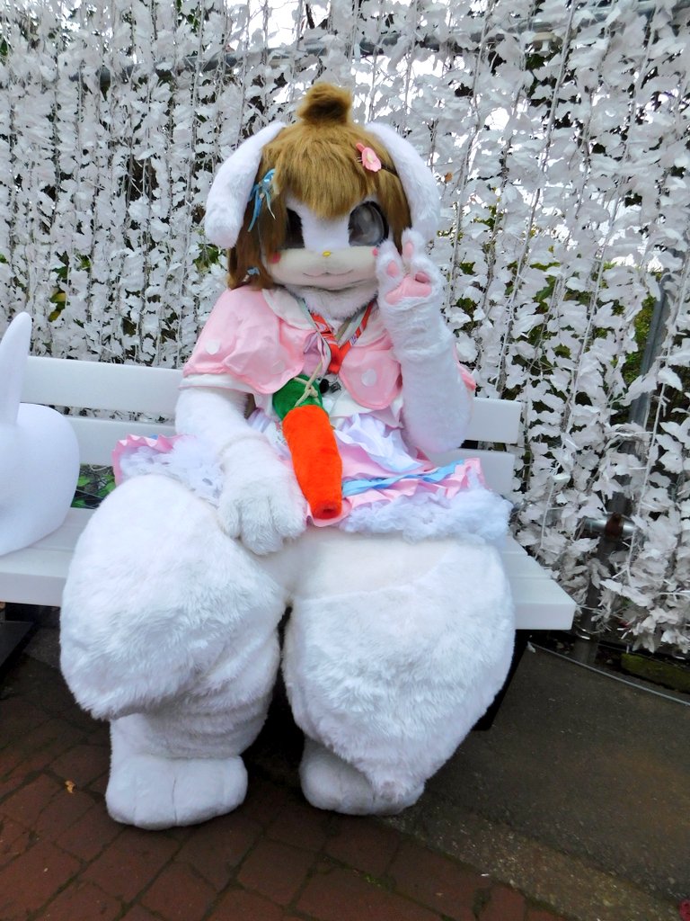 Kamonegi_mofmof's tweet image. こはるちゃん！
イベントで初めて知って座ってる姿が可愛いらしくて撮らせていただきました！お洋服とピースしてる姿が可愛いかったです！またぜひ会いたいです！！
タグ付け失礼しました🙇
 #Kemocon18