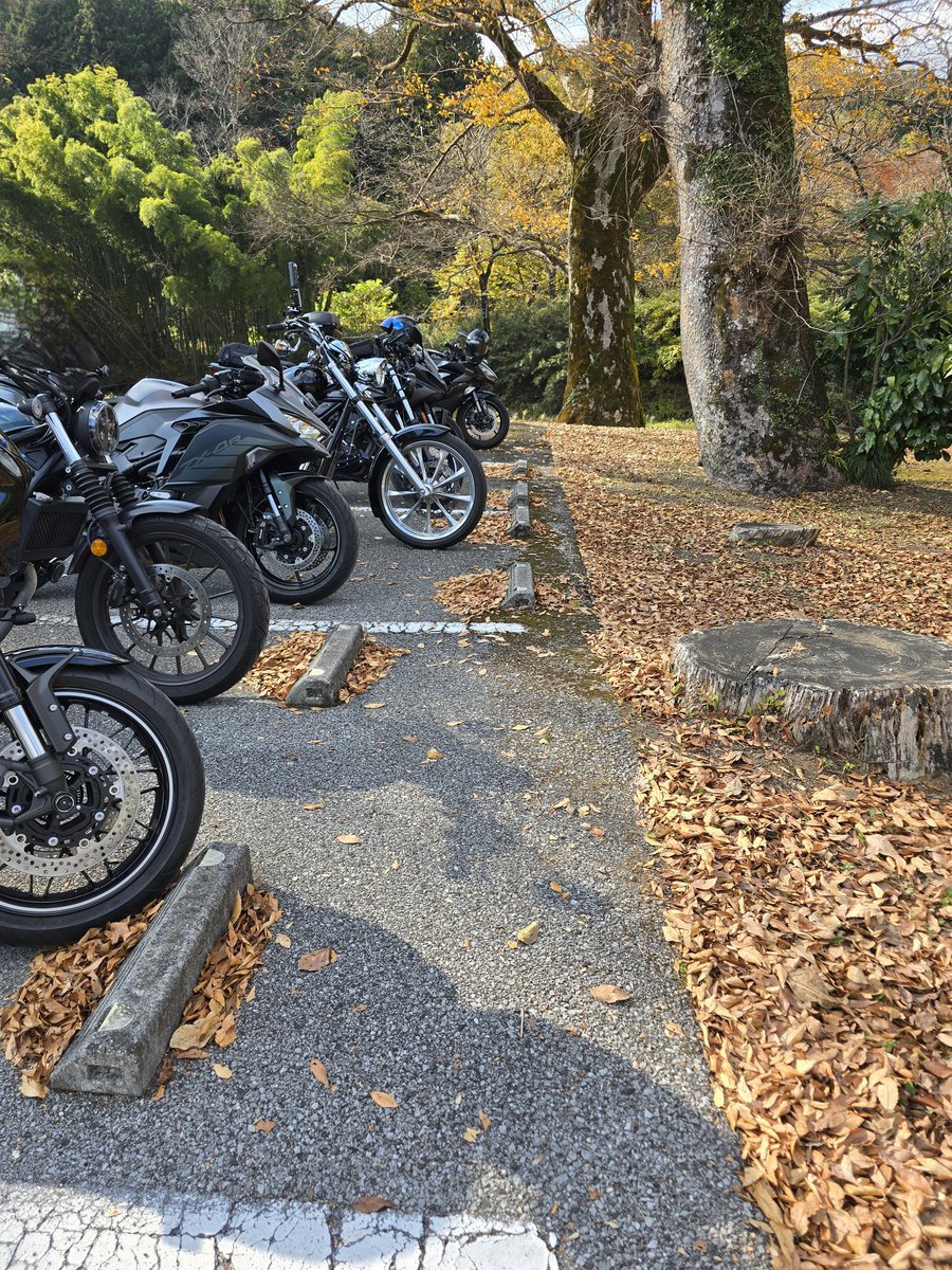 miduki1999's tweet image. こんばんは🌙お疲れ様です🫡
本日はお誘い頂いたツーリングへ参加💡

秋の赤・黄を浴びながら🏍️💨
小代行川庵さんの暖かいそばで暖をとり🤣
その後はクレープクランベリーでデザート🙆

美味しいものを堪能させて頂きました👍
本日参加された皆様、ありがとうございました🙇