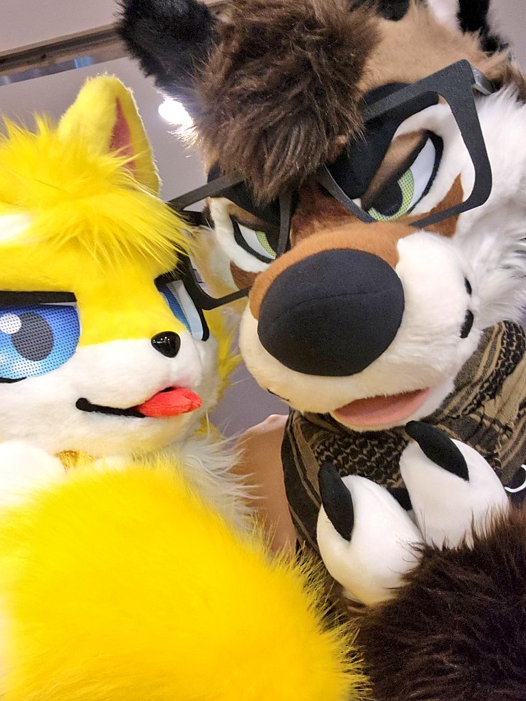 에드로도 즐겼습니다! (아직 사진을 다 못받았지만) 진짜 라인업이 미쳤어...
혹시 노란강아지를 찍으신 분이 있다면 저나 <a href="/Edd_fur/">모험가 에드</a> 계정으로 보내주시기 바랍니다!! 😆