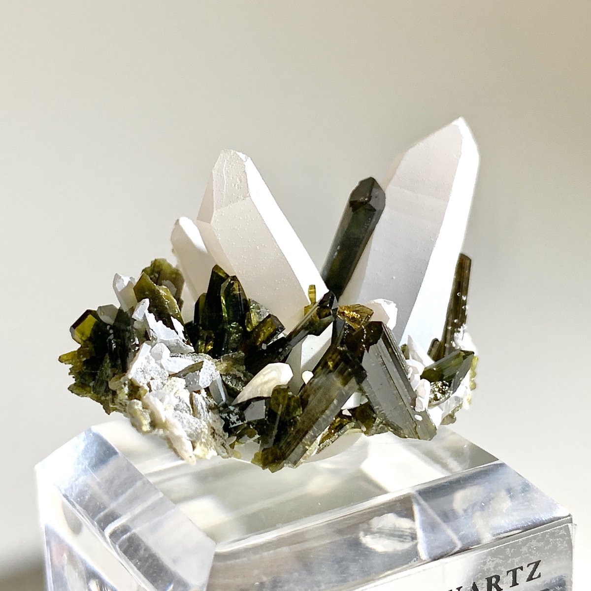 白と緑のコンビネーション!
風情があってとてもいい!

ペルーの緑簾石&amp;水晶の共生です。こんな真っ白水晶初めて見た・・・表面が白いのかと思ったけど中身も真っ白。何のインクルなのかな?

#緑簾石　#水晶

Epidote&amp;Quartz/"LA VERDE" Mine, Cascas Dist., Gran Chimu Prov., LA Libertad Dept., Peru