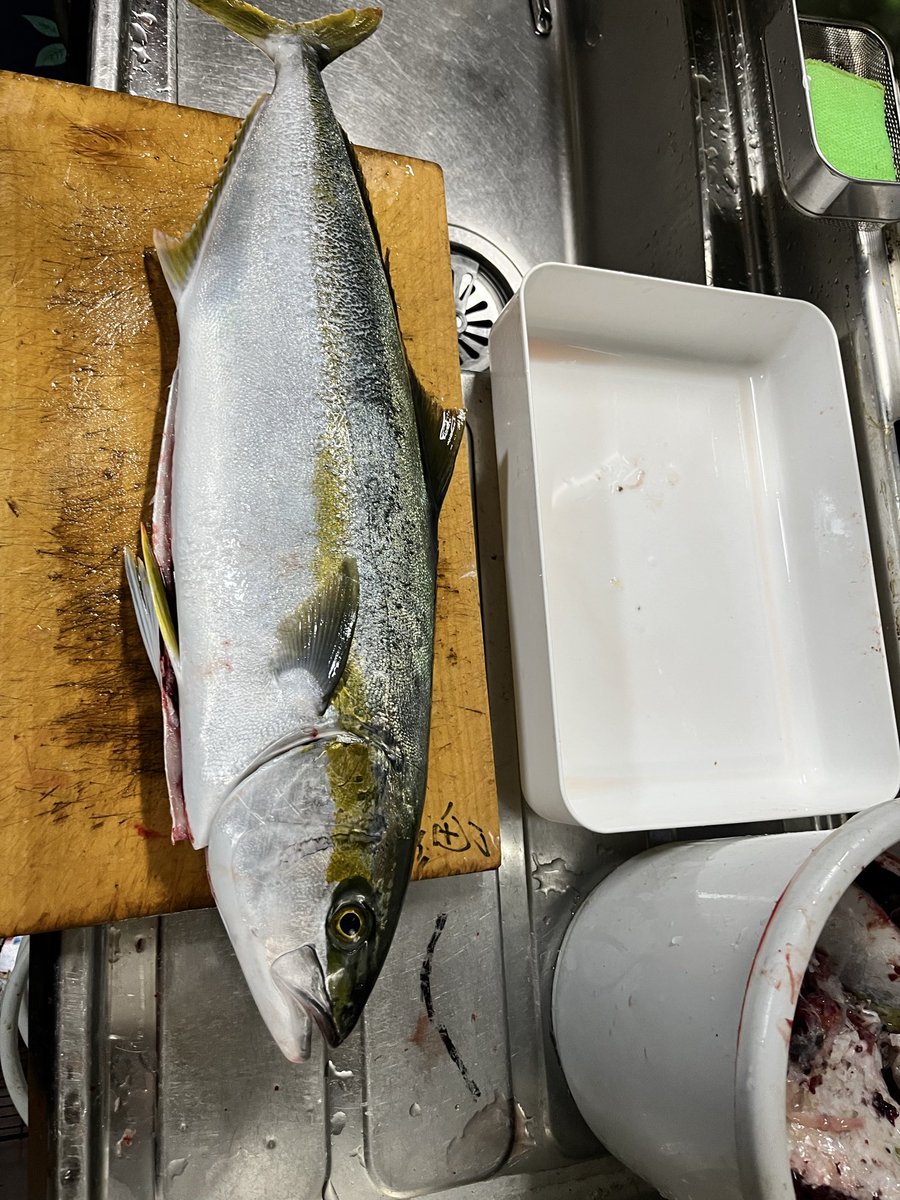 今日のお刺身😋
