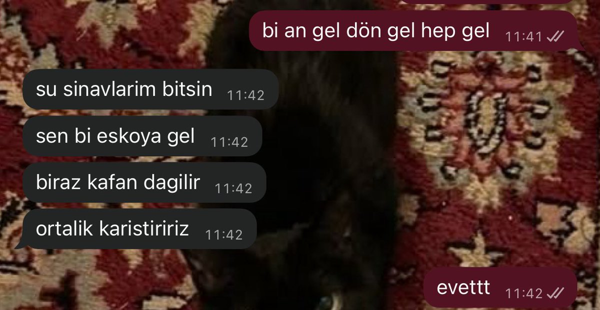 cannotcalmdown's tweet image. gunaydın edepsiz bi teklif aldim