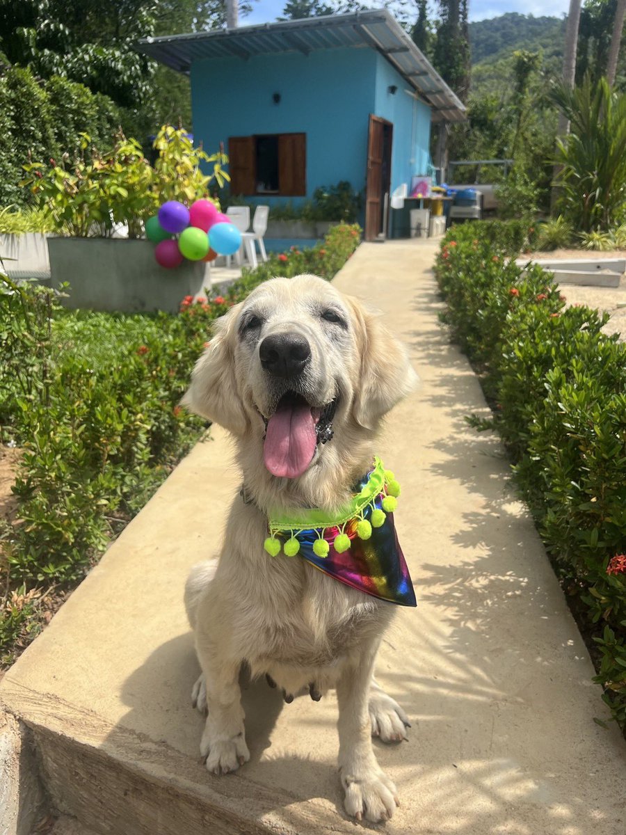 He’s only gone and done it!

Congratulations Niall, a man amongst men, truly inspirational.

👍👏❤️