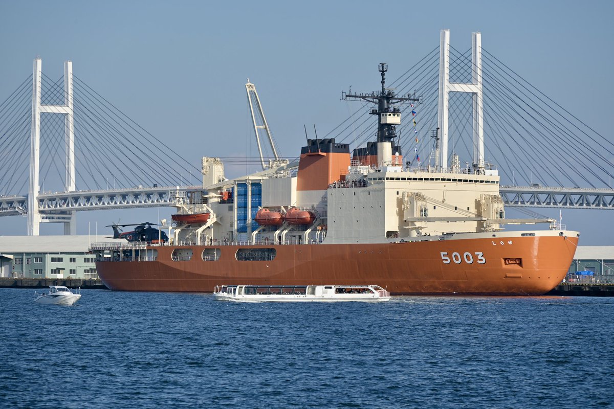 やますぎ (@yamasugi_00) / Posts / X