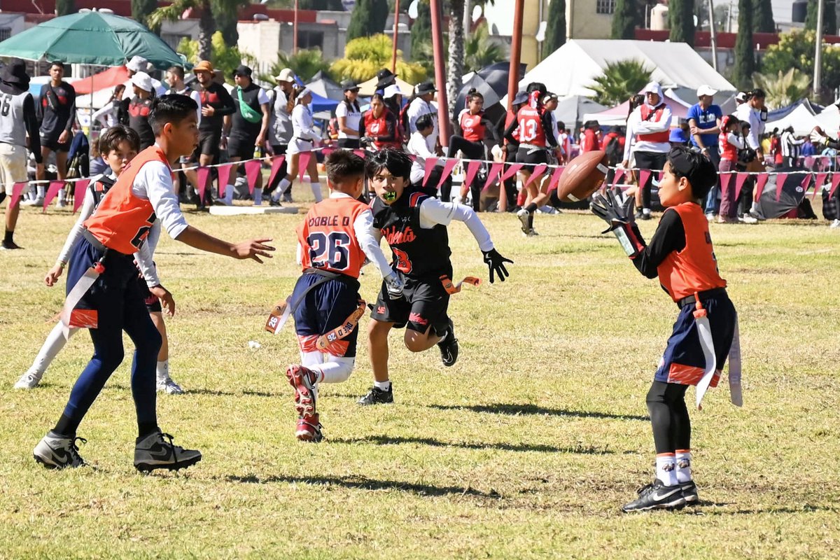 Tonyopulus's tweet photo. Wildcats está en la final del #12NacionaldeFlag #Morelos #Tecamac #México #ElPachus https://t.co/sENIsfJGaK