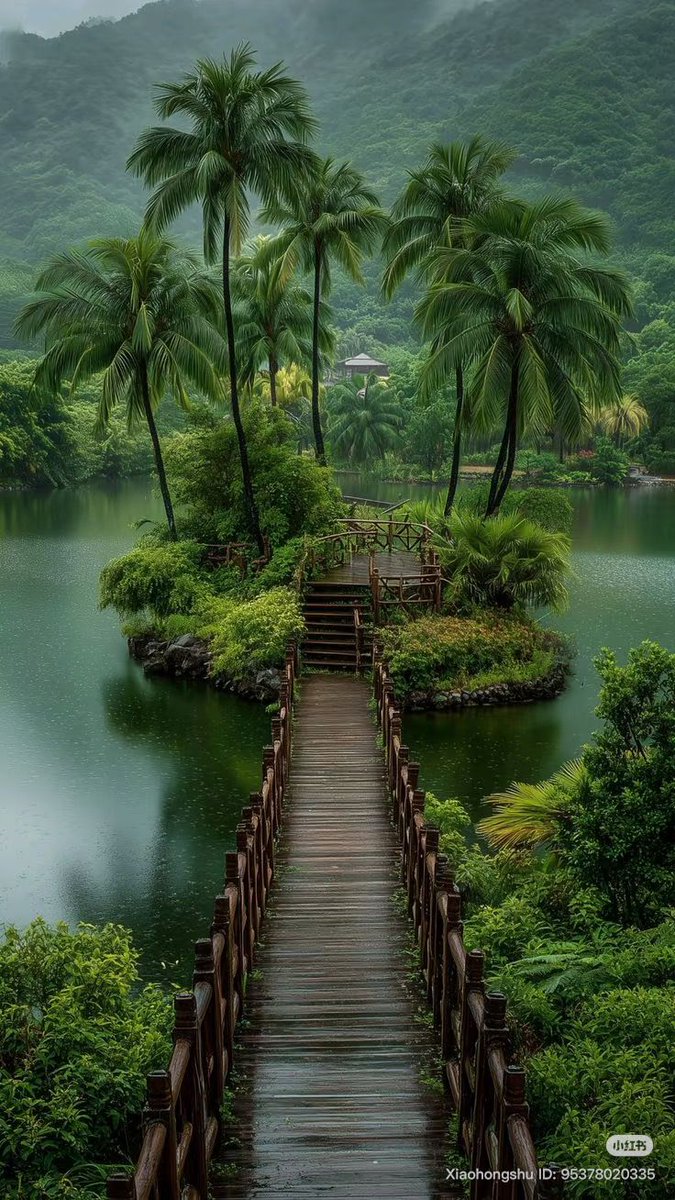 💚· · • • • ✤ • • • · ·💚
         💚✤ ✤ ✤💚
   🍃Have a peaceful🍃
🌿 Sunday  everyone🌿
            💚✤ ✤ ✤💚
       💚· · • • • ✤ • • • · ·💚