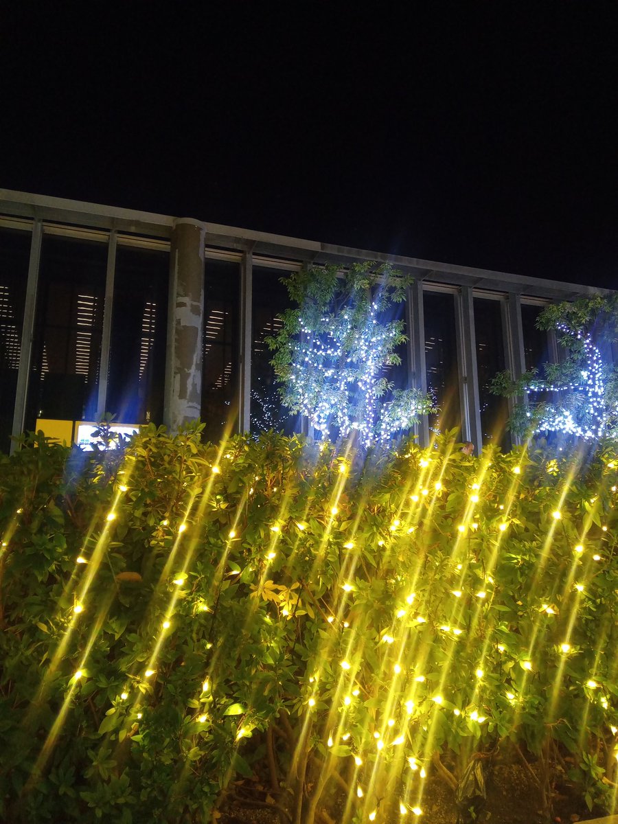 ExcelVBAer's tweet image. 寒くなってきましたねぇ☺️