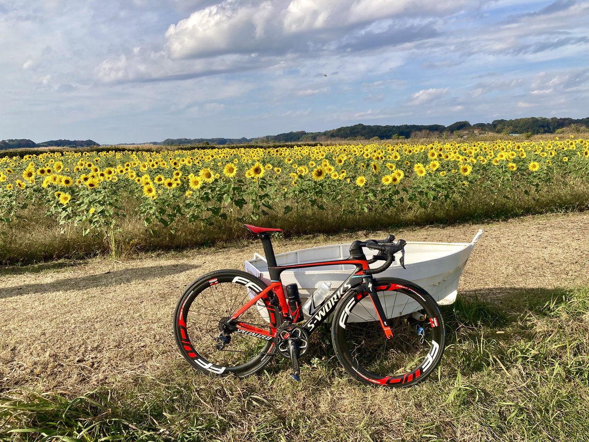 Michiaki ISHIDA (@IshidaMichiaki) / Posts / X