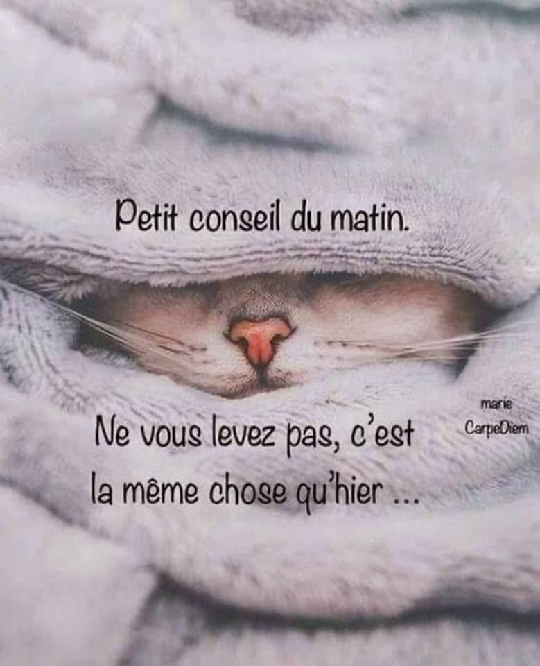 Isabelle Balkany (@ibalkany) on Twitter photo 