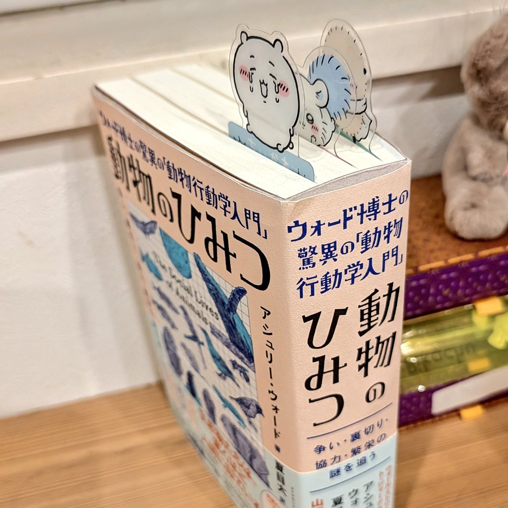 これホントマジ。どこから読んでも面白い。永遠に読める。2,000円安すぎ。