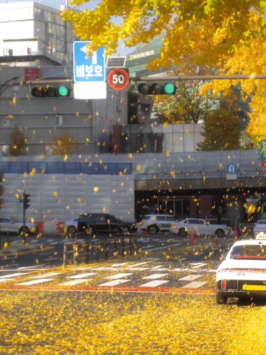 은행 눈이 내려요!!!!!!!