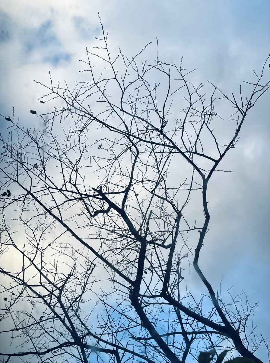 At the moment, the only thing you should think about is how to please, begging that the freedom and dignity placed at the feet be taken and used.