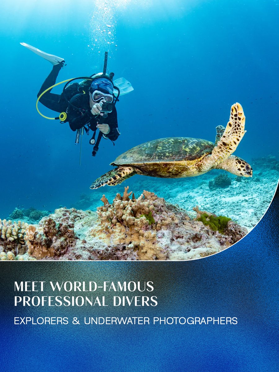 Discover the heart of underwater exploration at Dive Zone, from cutting-edge diving tech to expert speakers and world-renowned explorers, all at DIBS 2026.

🔗 Enquire to exhibit: bit.ly/49CaVdD  

#DIBS2026 #DubaiBoatShow