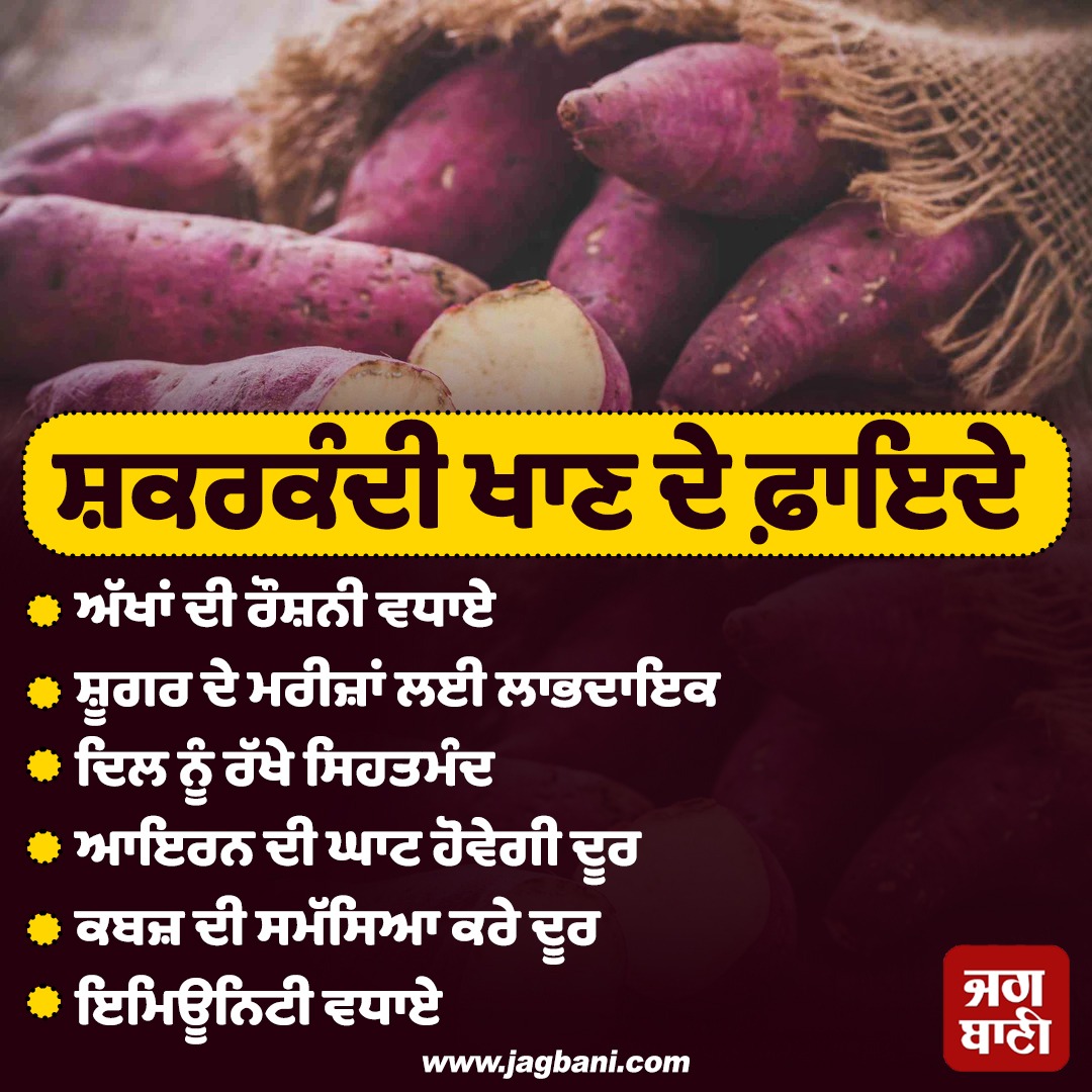 JagbaniOnline's tweet image. ਸ਼ਕਰਕੰਦੀ ਖਾਣ ਦੇ ਫ਼ਾਇਦੇ
#Benefits #SweetPotatoes #HealthTips #Jagbani