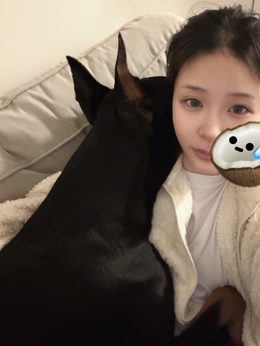 一在沙发上看手机这个大宝儿就贴过来了