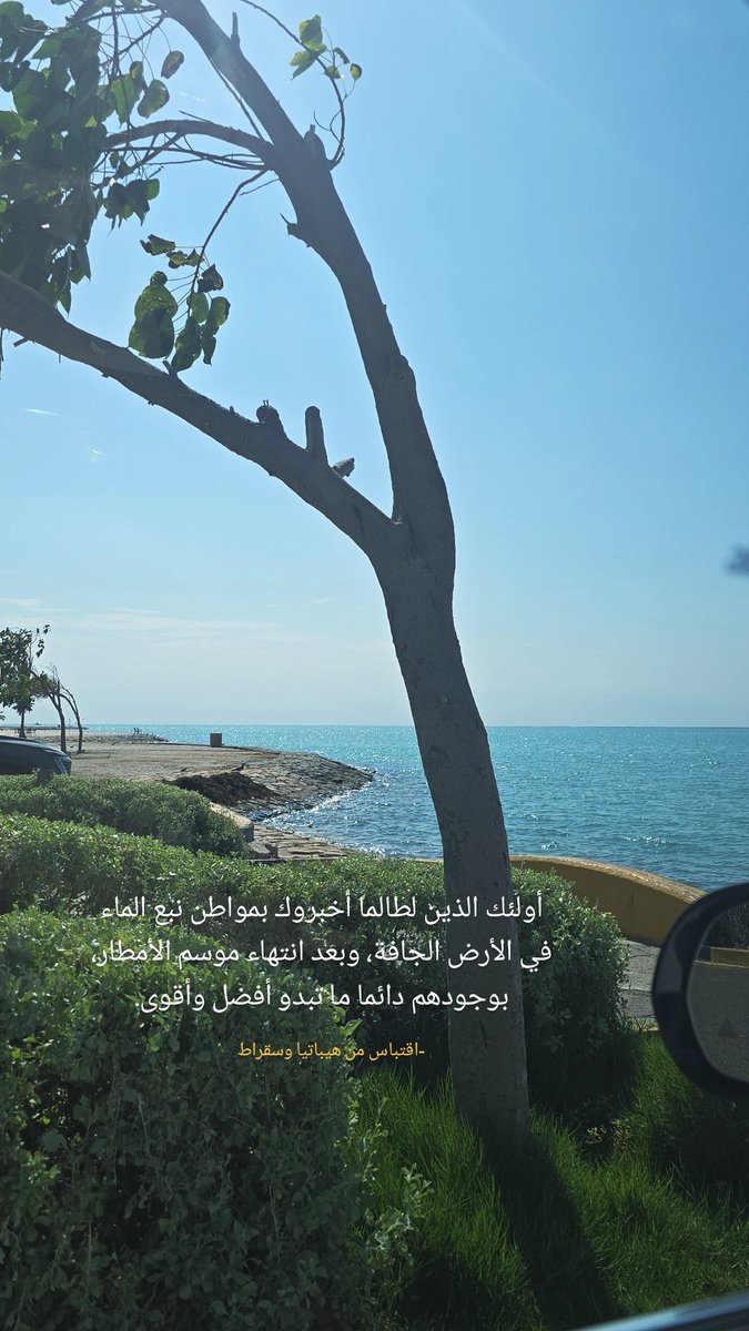 #هيباتيا_وسقراط
#حليمة_محمد