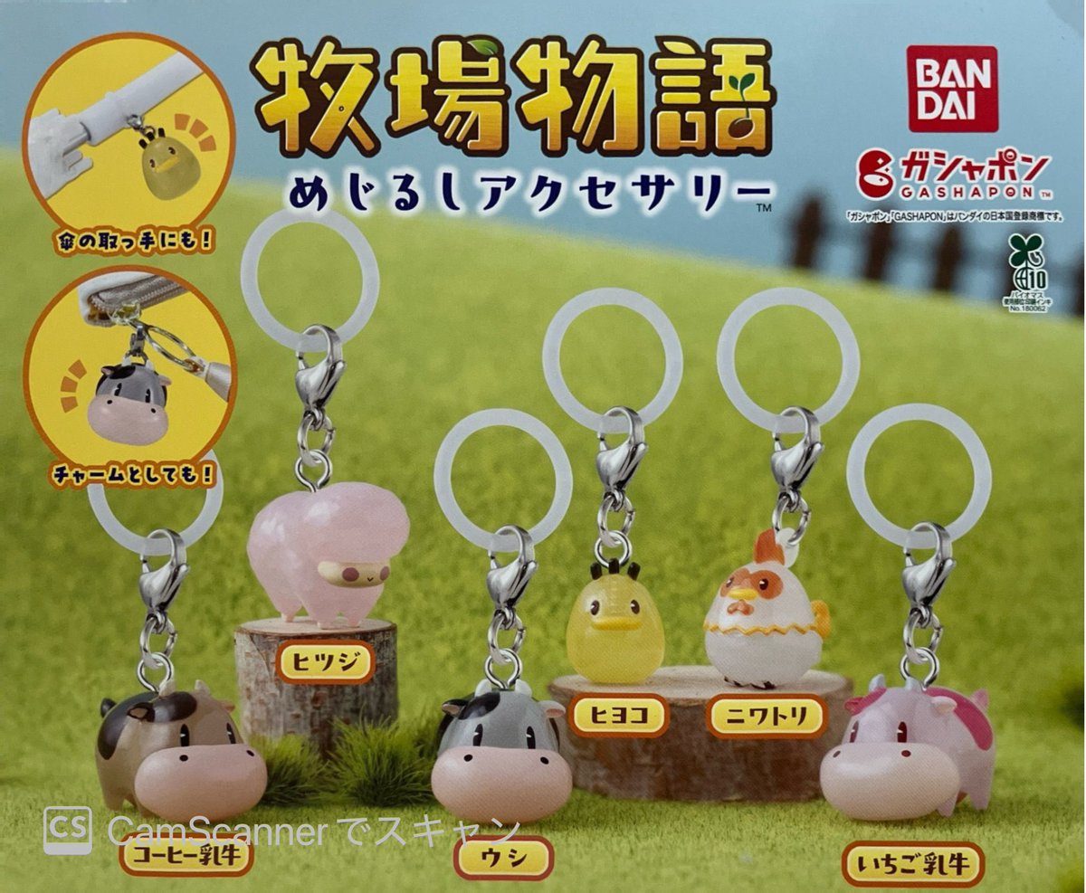 ✨🎀11月16日(日)完売情報🎀✨ ✓ 牧場物語 めじるしアクセサリー