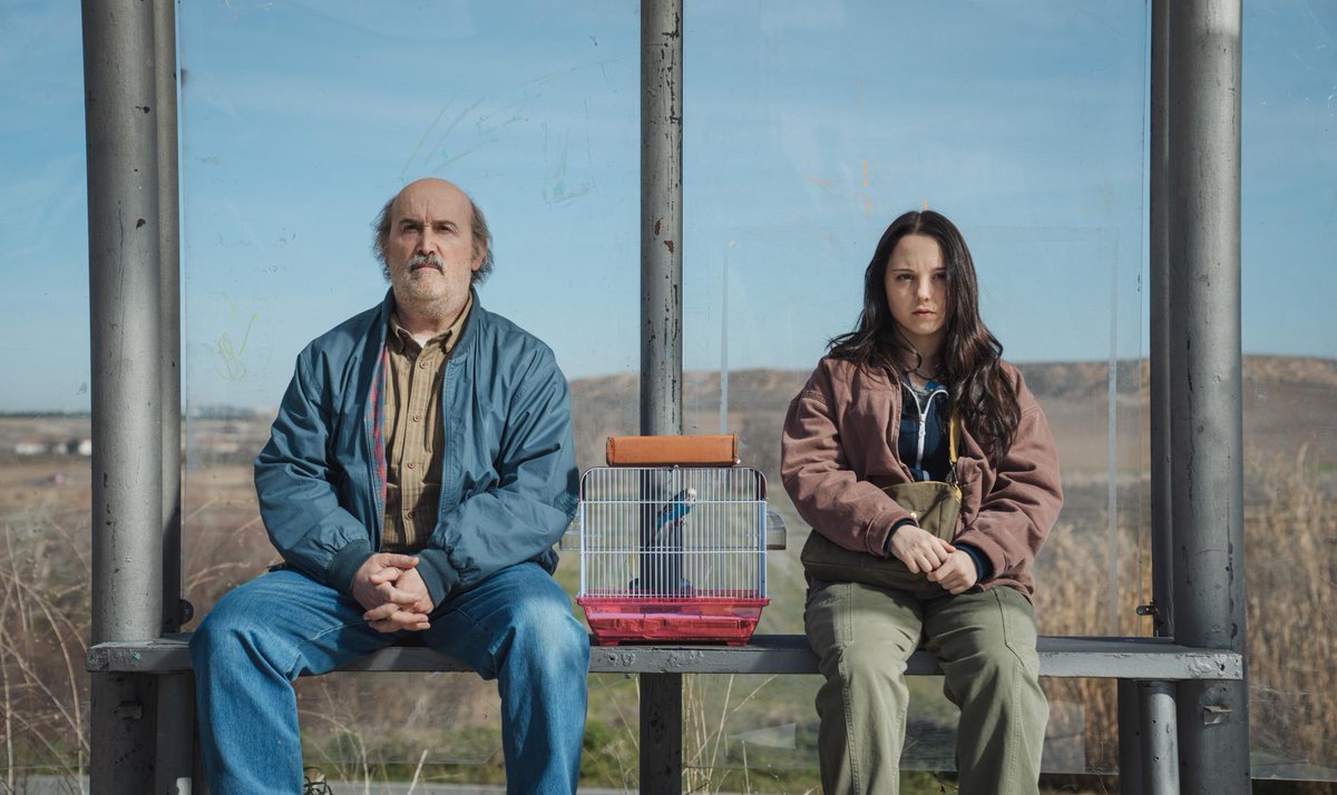 Lo de Diego San José haciendo ese cine para televisión que llamamos SERIES y lo de Celia QUÍLEZ disparada hacia el futuro de las grandes actrices es magnífico en YAKARTA.
Lo de Javier CÁMARA es sencillamente estratosférico. 
joseluisibanezsalas.blogspot.com/2025/11/diego-…