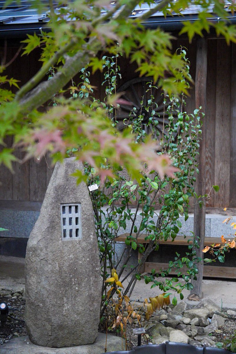 murahan26's tweet photo. 今日は学生さんのテストがひと段落で、
落ち着いた入りです。
外国人観光客の皆さんがひっきりなしに
来てくださいました☺️
#村半 https://t.co/U9z9R2t58d
