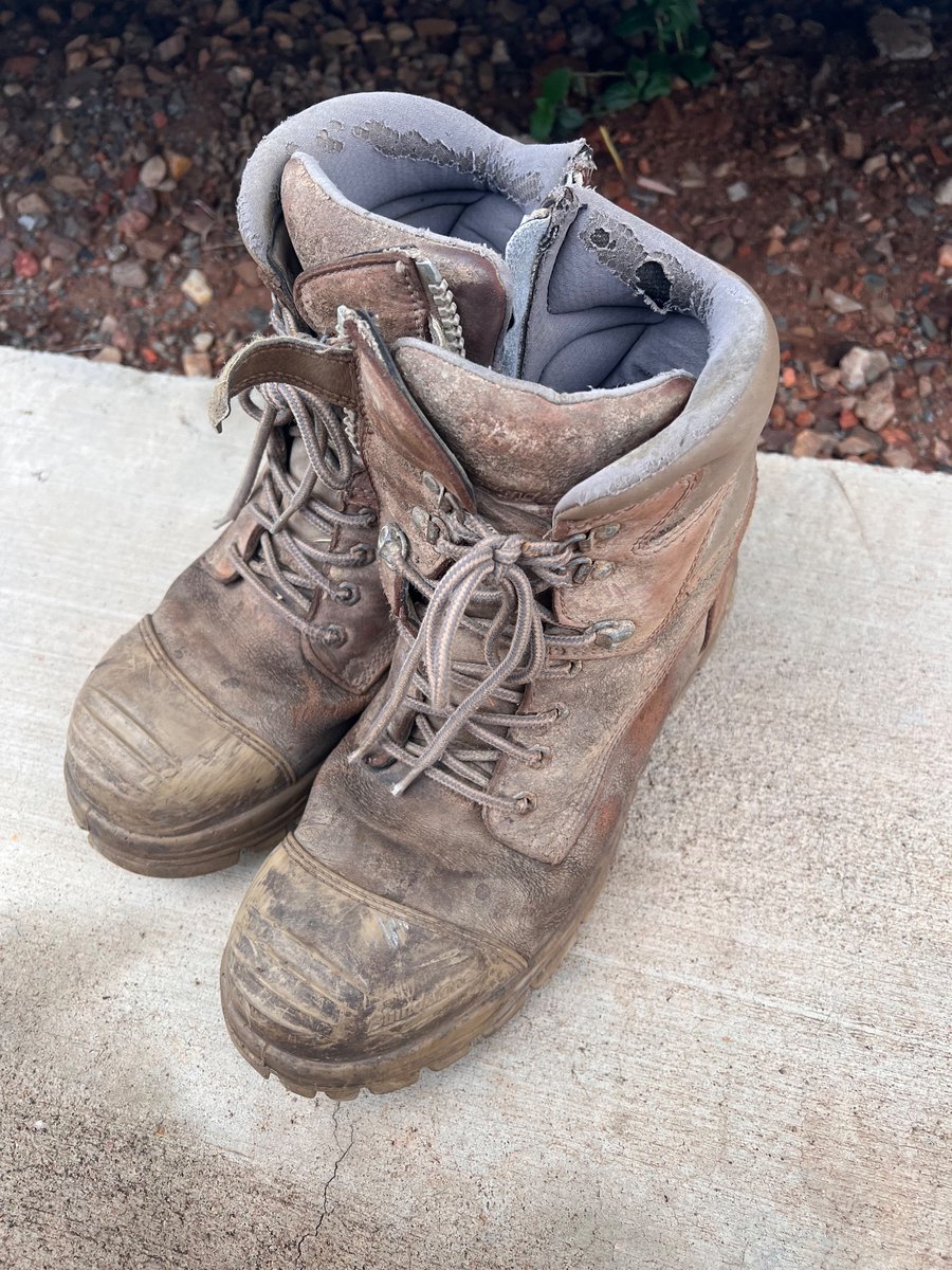 Who’d actually been keen to buy these stinky old cunts. 

DM me