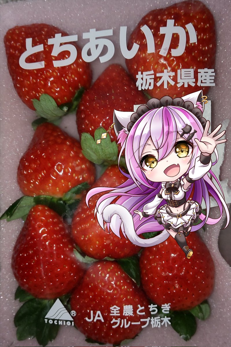 いいいちごの日 #いちごの日 とちあいかちゃん⊂(`・ω・´)⊃ﾊﾞｯ