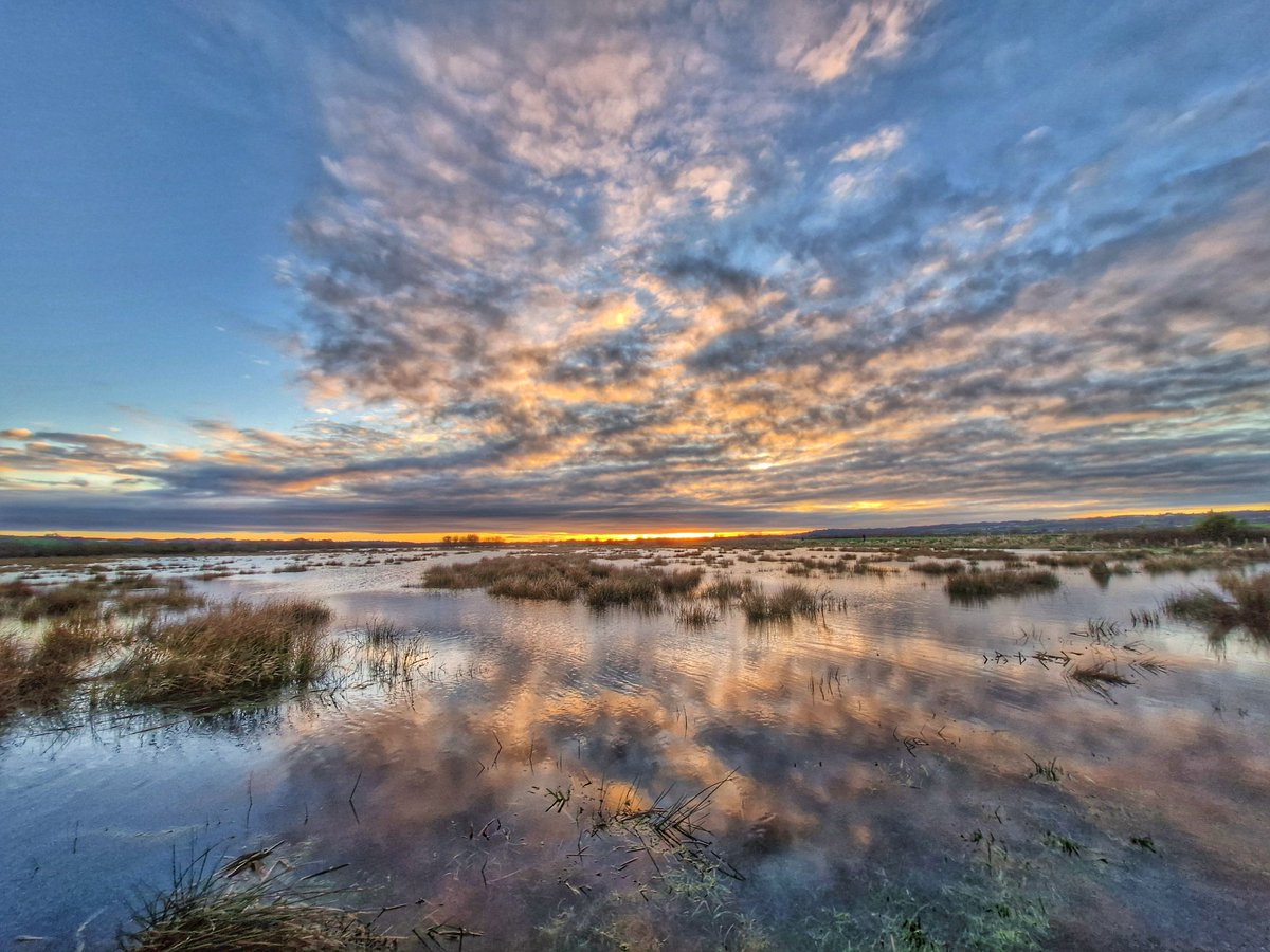 Anthony Ward tweet media