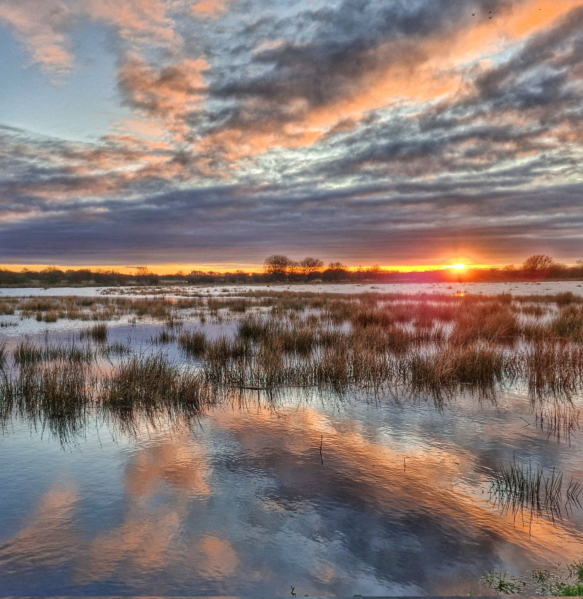 Anthony Ward tweet media