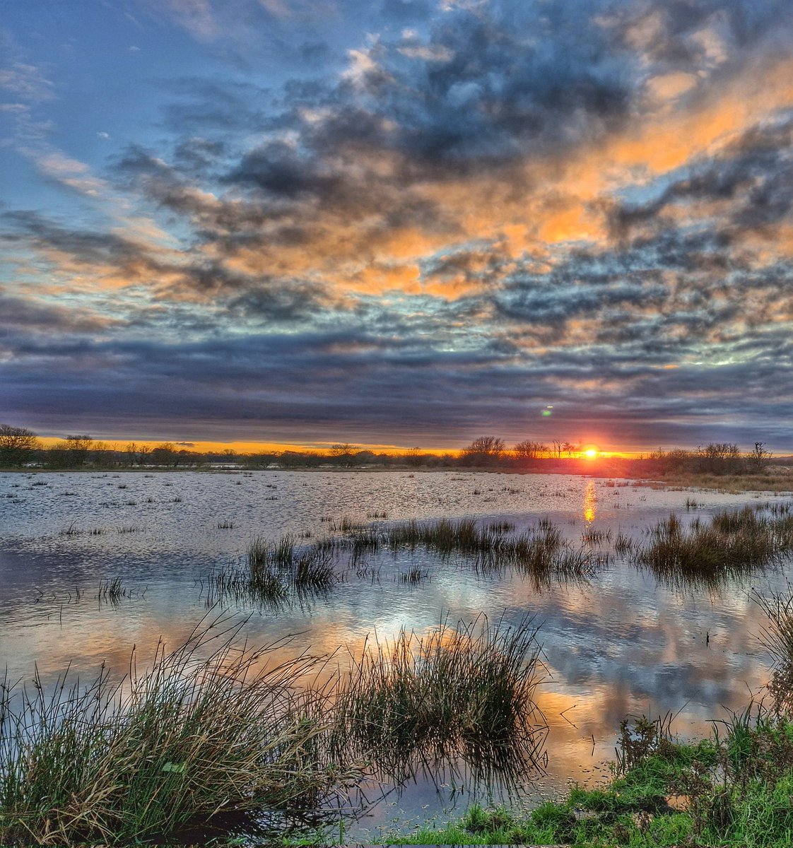 Anthony Ward tweet media