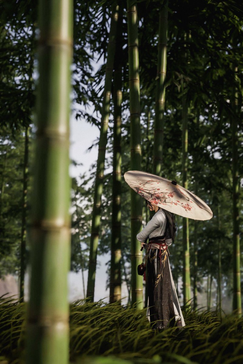 Where Winds Meet
#WhereWindsMeet #VirtualPhotography