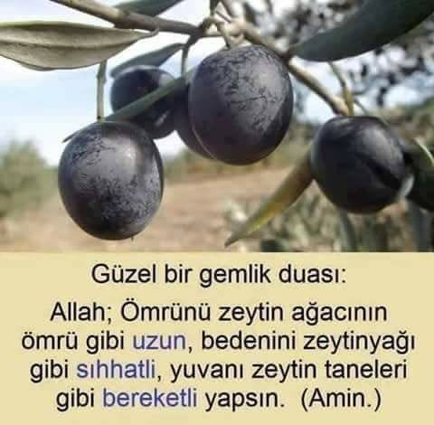 Doğal ürün severlere özel!
Bu hafta:
🧈 Tereyağı
🥄 Salça
🫒 Zeytinyağında

➡️ Özel fiyat
➡️ Hızlı kargo
➡️ Taptaze stok

El yapımı, katkısız, güvenilir ürünler için hemen DM at! 💛