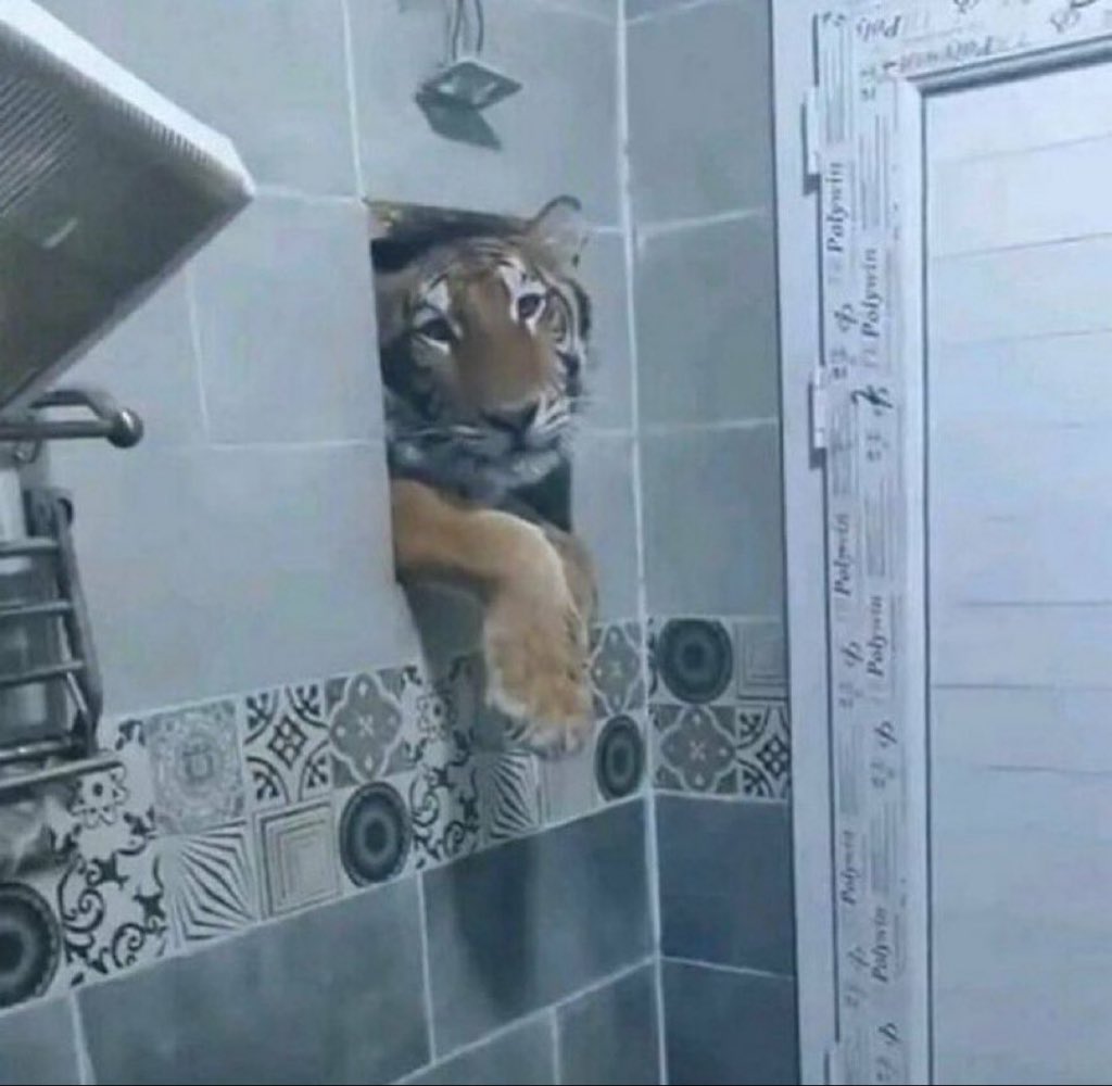 “May I meet you”