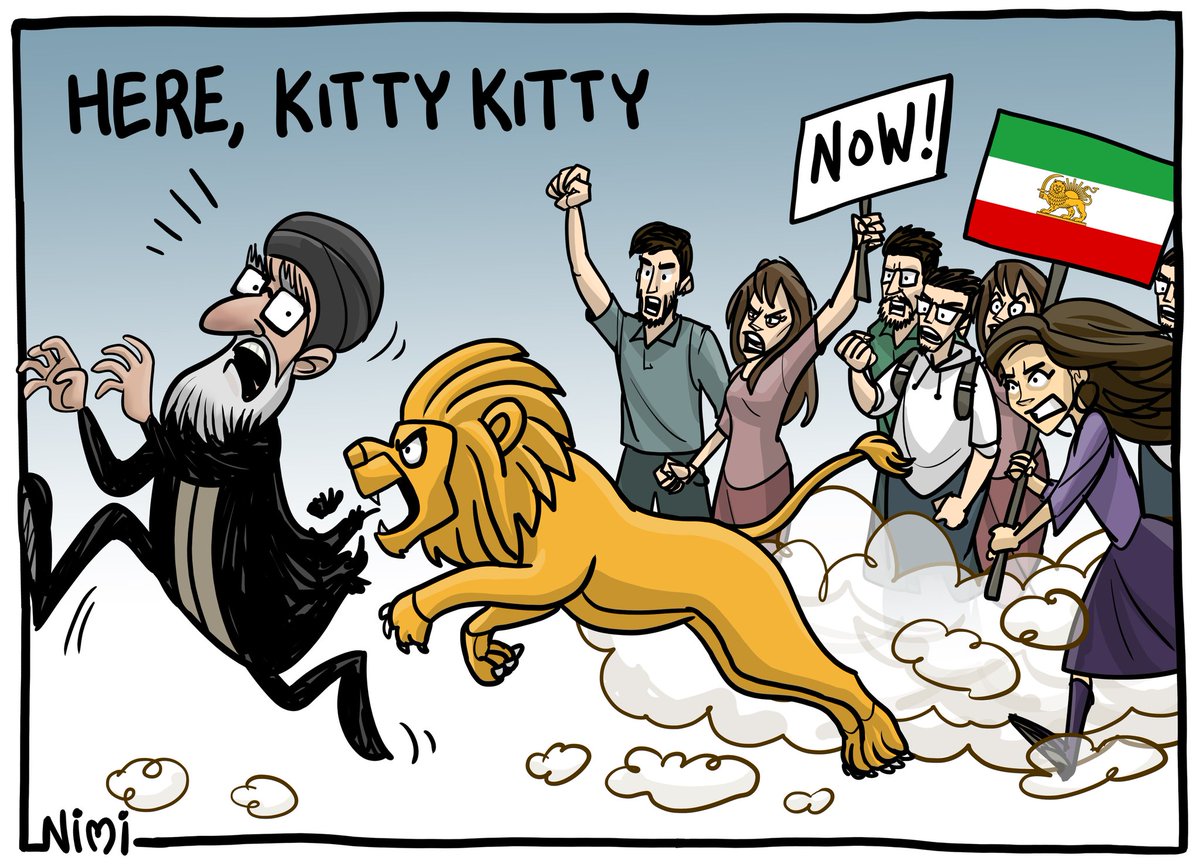 Nimi Cartoons tweet media
