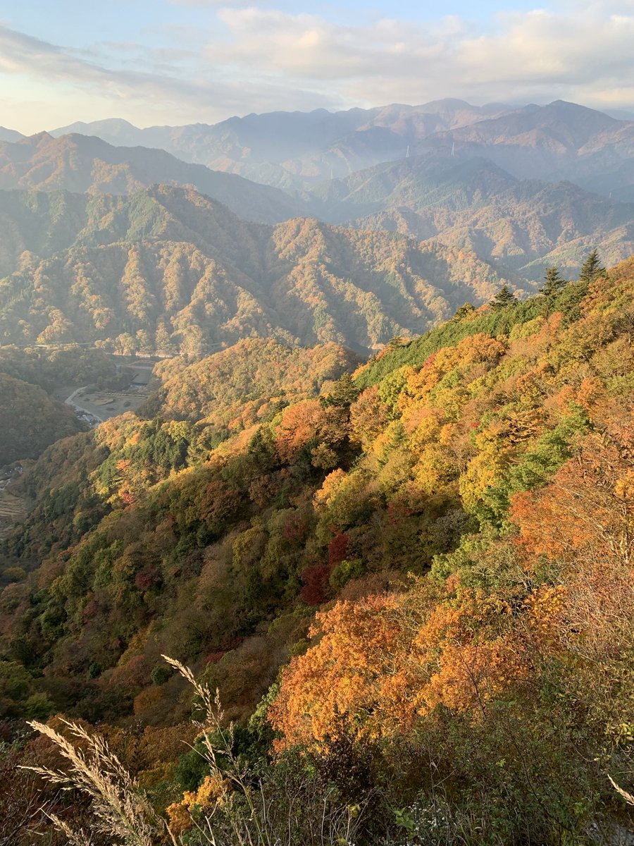 ウサギパンチ (@PunchUsagi) / Posts and Replies / X